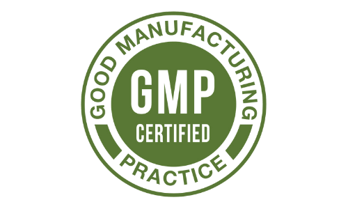CogniSurge GMP